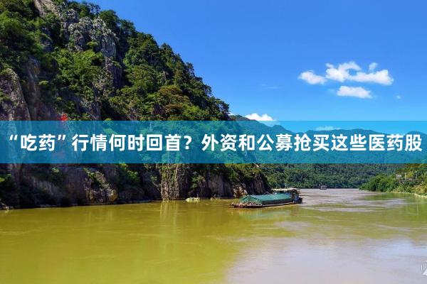 “吃药”行情何时回首？外资和公募抢买这些医药股