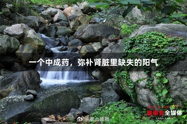 一个中成药，弥补肾脏里缺失的阳气